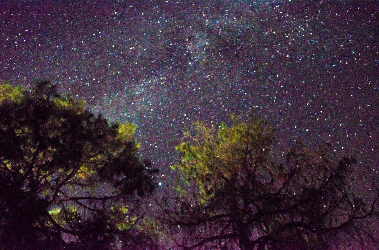 Cabanas Los Portales Barrancas Del Cobre Areponapuchi Екстериор снимка